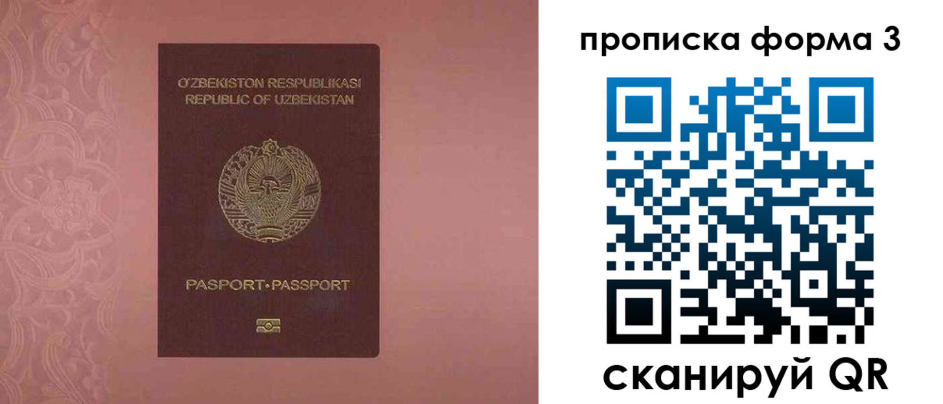 регистрация в Ленинградской области